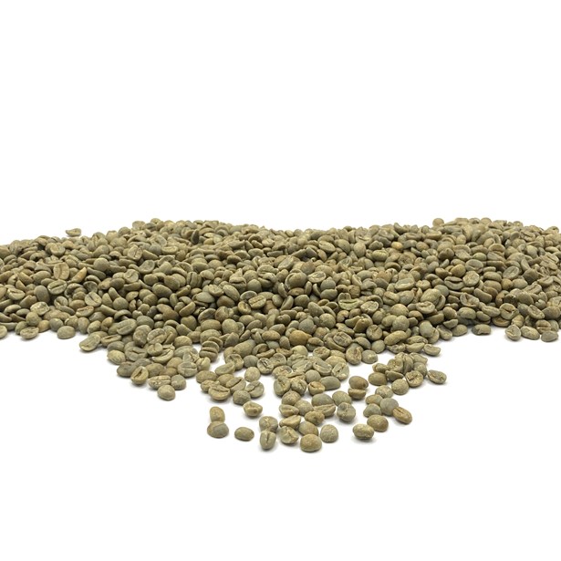 Brazil Daterra Summer Solstice